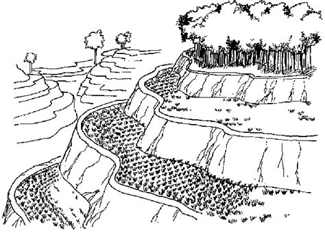 talampas drawing|Banaue Rice Terraces .